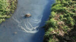 Concerns oily substance could be ‘a serious danger’ to children