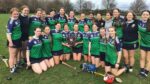 Camogie success for MacDara’s