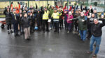 Forest planted at centre
