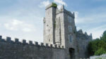 Drimnagh Castle receives €100k from monuments fund