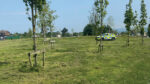 Increased policing patrols