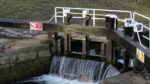 Former lock keeper’s home on the Grand Canal for sale