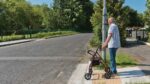 Two large trees at pedestrian crossing present danger