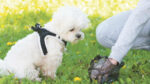 Not possible to give hours spent on ‘dog poo’ removal