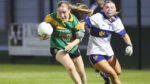 Brave show from Davis ladies in final