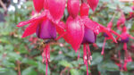 Nature on our Doorsteps: Wet weather can be challenging!