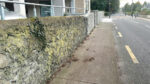 Call for action against developer who removed historic local wall