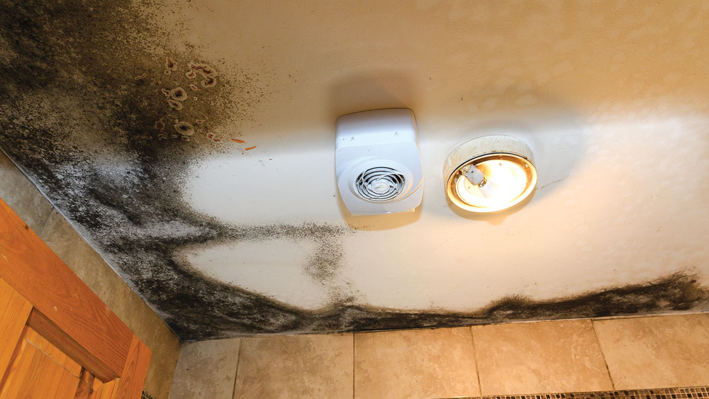 Bathroom ceiling is ‘jet black with mould’ says mother of six Bathroom ceiling is ‘jet black with mould’ says mother of six