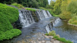 Tallaght schools competition: Win a woodland classroom and wildlife pond