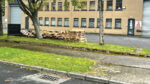 Firms are told to stop leaving pallets outside