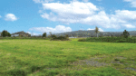 Frustration over apparent abandonment of Kiltipper