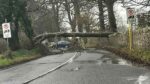 Council crews respond to 35 fallen trees as gusts continue