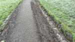 Concerns for health and safety on paths in park