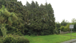 Appeals board overturns decision on three houses