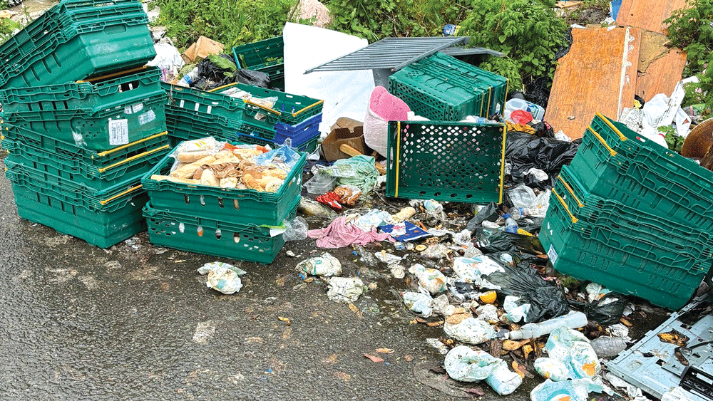Removing illegal waste costs council €1.4 million Removing illegal waste costs council €1.4 million