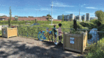 ‘Much improved’ performance for Tallaght in IBAL survey