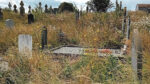 Overgrown graveyard is ‘enhancing biodiversity’