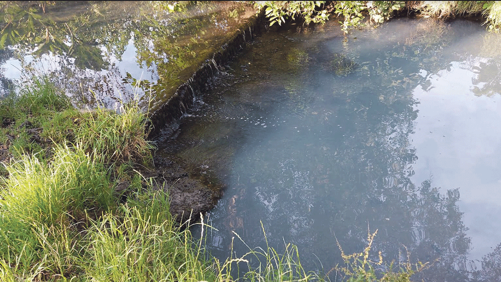 ‘Disgusting’ appearance of pollution in Poddle frustrating ‘Disgusting’ appearance of pollution in Poddle frustrating