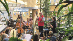 Clinical work by street symphony orchestra