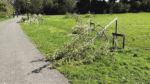 183 trees vandalised in the past 15 months