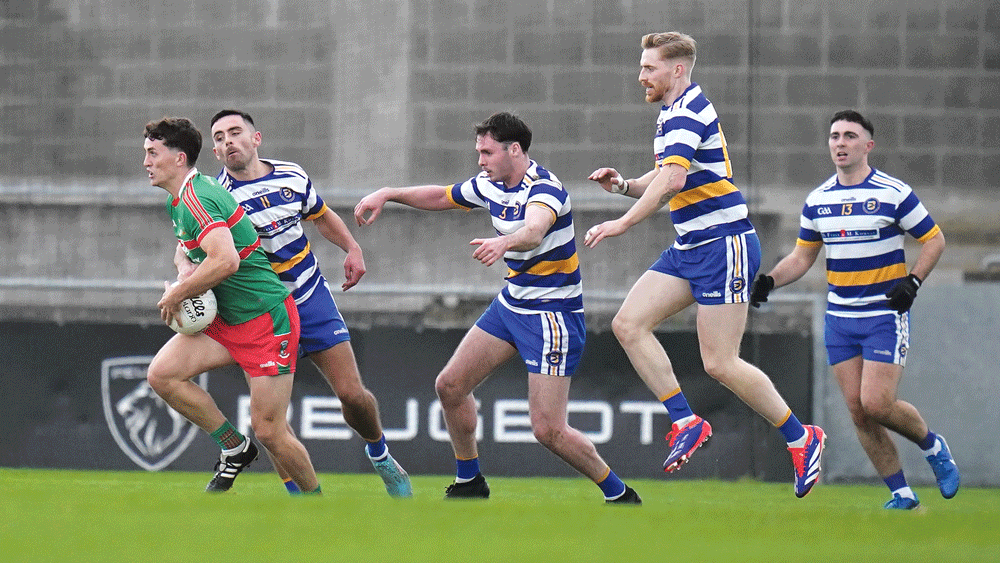 Templeogue are back in the top flight