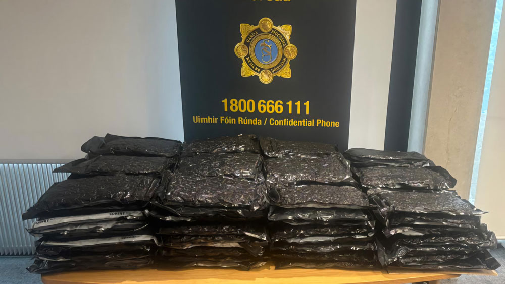 Drugs worth €1.1 million seized by gardai in Tallaght Drugs worth €1.1 million seized by gardai in Tallaght