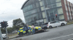 Sulky horse and car collision raises animal welfare worries