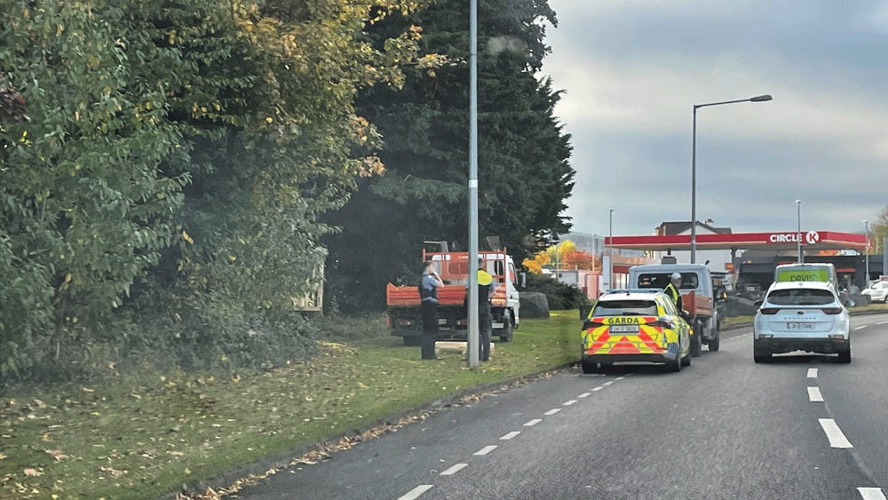 Call-out to businesses to secure wood and pallets at Halloween to prevent illegal bonfires Call-out to businesses to secure wood and pallets at Halloween to prevent illegal bonfires