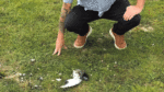 Authorities investigate dead birds found in Quarryvale