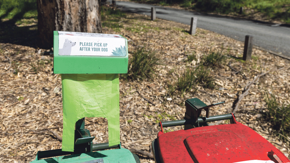 More bins will be provided to encourage binning of dog poo and reduce littering