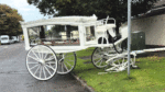 Unmanned horse drawn carriage crashes near schools