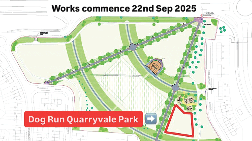 Work set to commence on dog run will enhance park