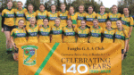 Faughs junior camogie tops in shield showdown