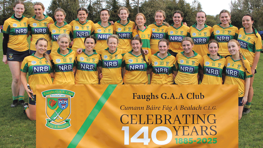 Faughs junior camogie tops in shield showdown