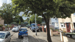 New trees and flowers to be planted in the Walkinstown area