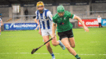 Sarsfields seniors aiming to win first hurling title