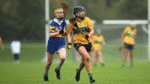Faughs tops in Senior Two Camogie final
