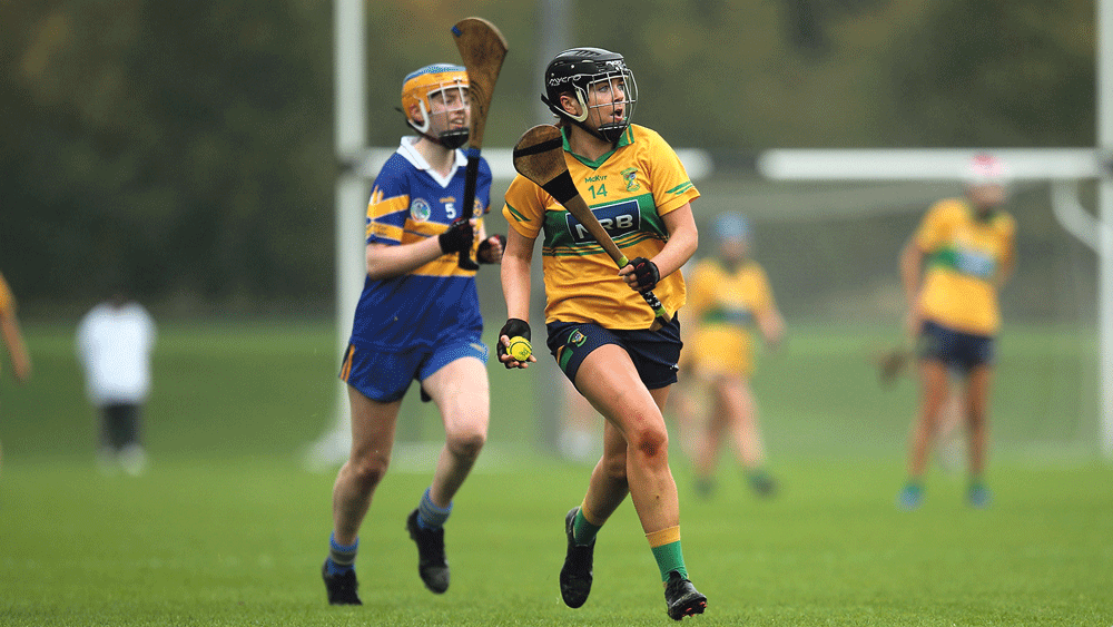 Faughs tops in Senior Two Camogie final Faughs tops in Senior Two Camogie final