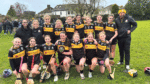 St Marks claim victory in both camogie finals