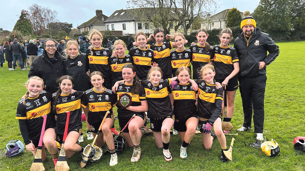 St Marks claim victory in both camogie finals St Marks claim victory in both camogie finals