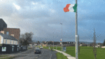 Local authorities will not engage with the removal of Irish flags