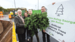 World’s first artificial tree recycling programme