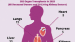 Preliminary figures for organ donation at lowest since pandemic