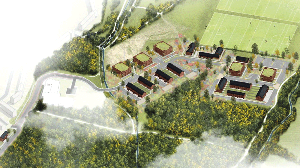 Residents concerned over plans for 120 homes at woodlands