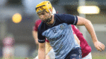 Good start for hurlers to reach Walsh Cup final