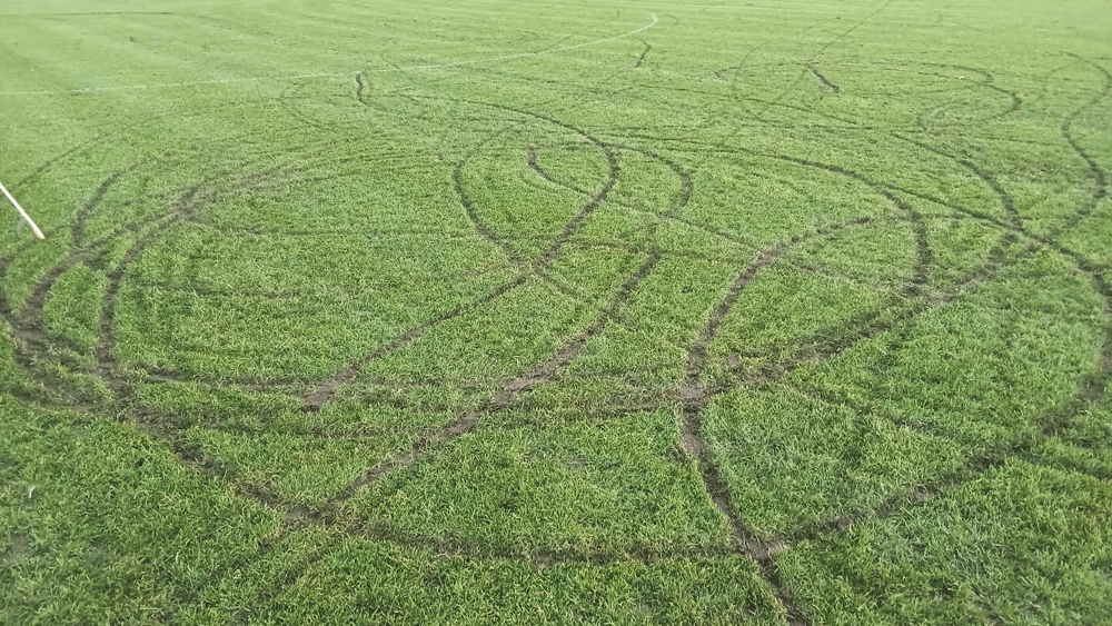 Club ‘extremely disappointed’ after soccer pitch vandalised by tyre tracks