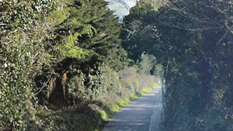 Framework aims for a greenway link along Knockmeenagh Lane
