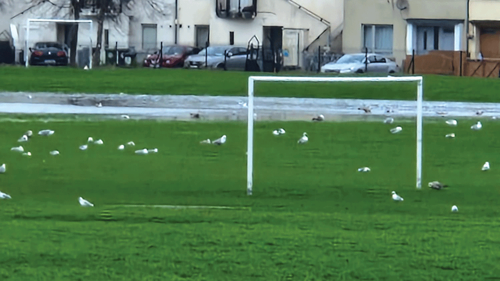 Lack of all-weather facilities leaves clubs with little options for matches Lack of all-weather facilities leaves clubs with little options for matches