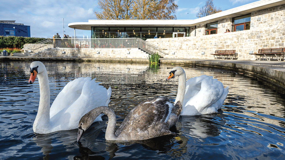€470,000 set aside for improvements to parks, car parks and landscaping features