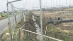 Removal of hedgerows ‘extreme and disgraceful’